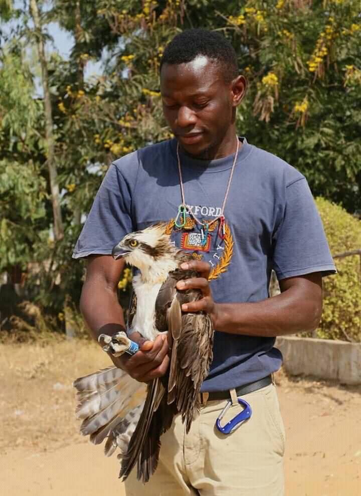 Dembo Jatta