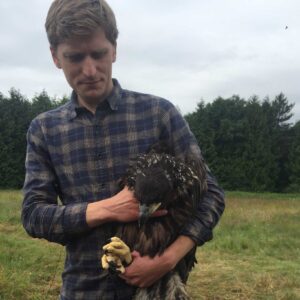 Rewilding our skies
